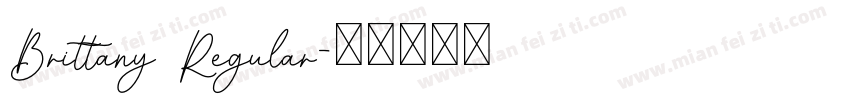 Brittany Regular字体转换